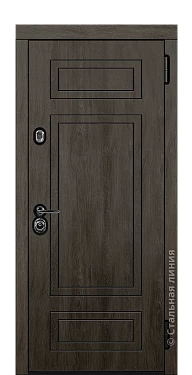 Входная дверь Кэмпер (вид снаружи) - купить в Краснодаре