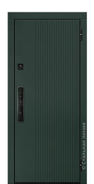 Входная дверь Кэри (вид снаружи) - купить в Краснодаре