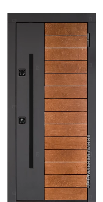 Входная дверь Сага (вид снаружи) - купить в Краснодаре
