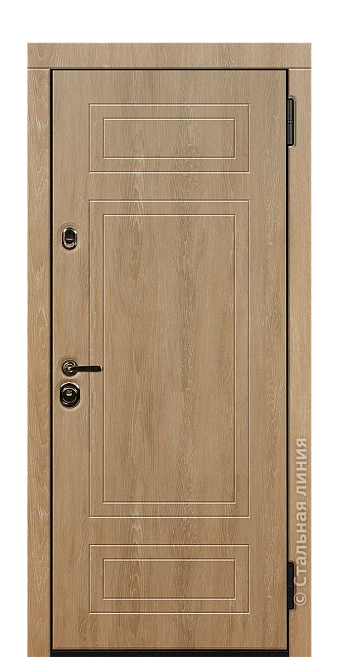 Входная дверь Кэмпер (вид снаружи) - купить в Краснодаре