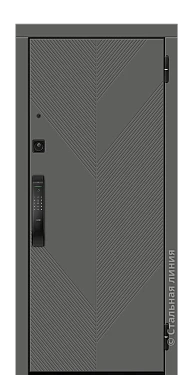 Входная дверь Калиста (вид снаружи) - купить в Краснодаре