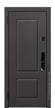 Входная дверь Дельфа (вид снаружи) - купить в Краснодаре