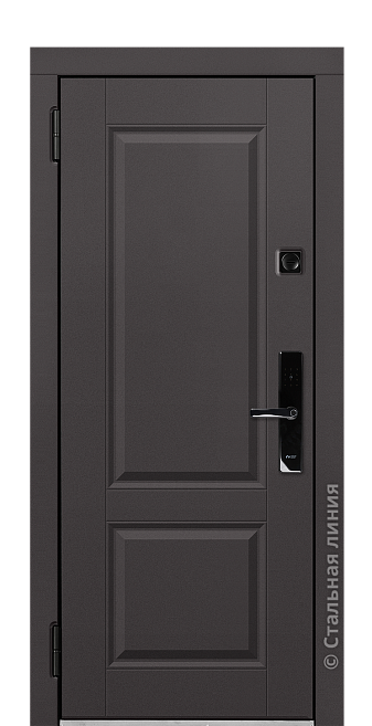 Входная дверь Дельфа (вид снаружи) - купить в Краснодаре
